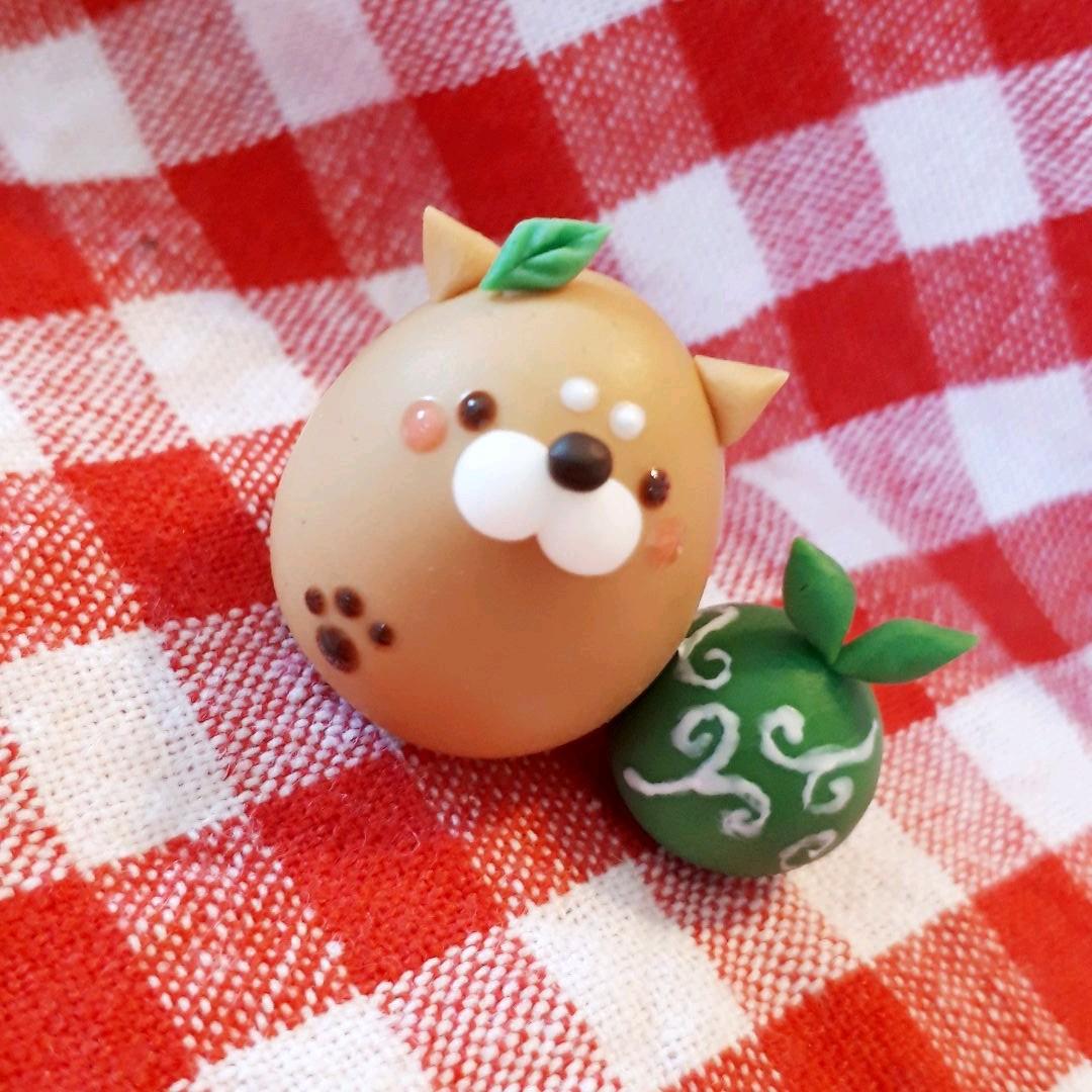 お座りコロンと柴犬♡