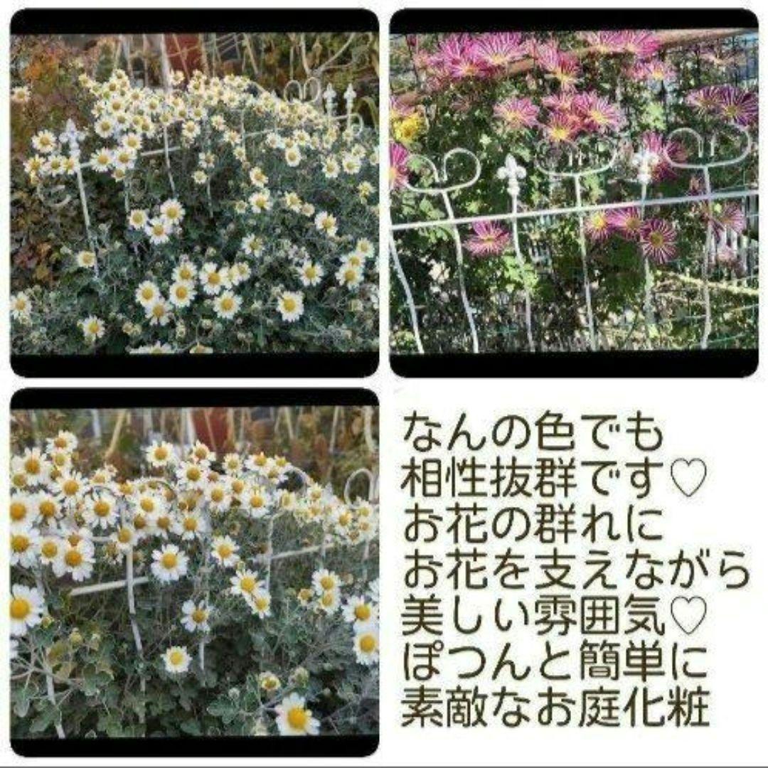 庭の演出に最適なアイテム♡アンティーク調アイアンピックフェンス(2枚セット)♡