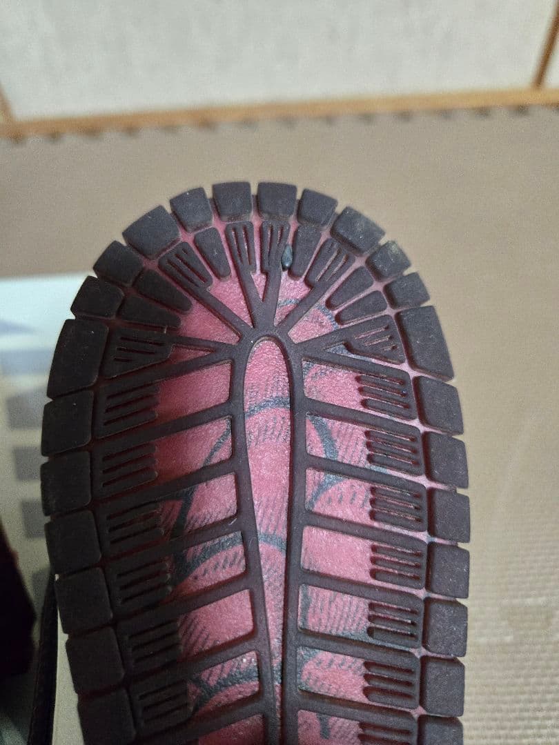 スケートボード Nike SB Dunk Low Riot Skate Bords 28.0cm