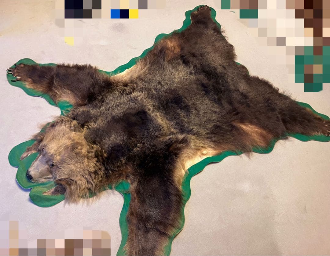 ヒグマ　熊　金毛　剥製　毛皮　絨毯