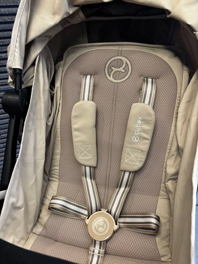 ★保証期間内美品★ サイベックス　オルフェオ　2024モデル　バンパーバー付き