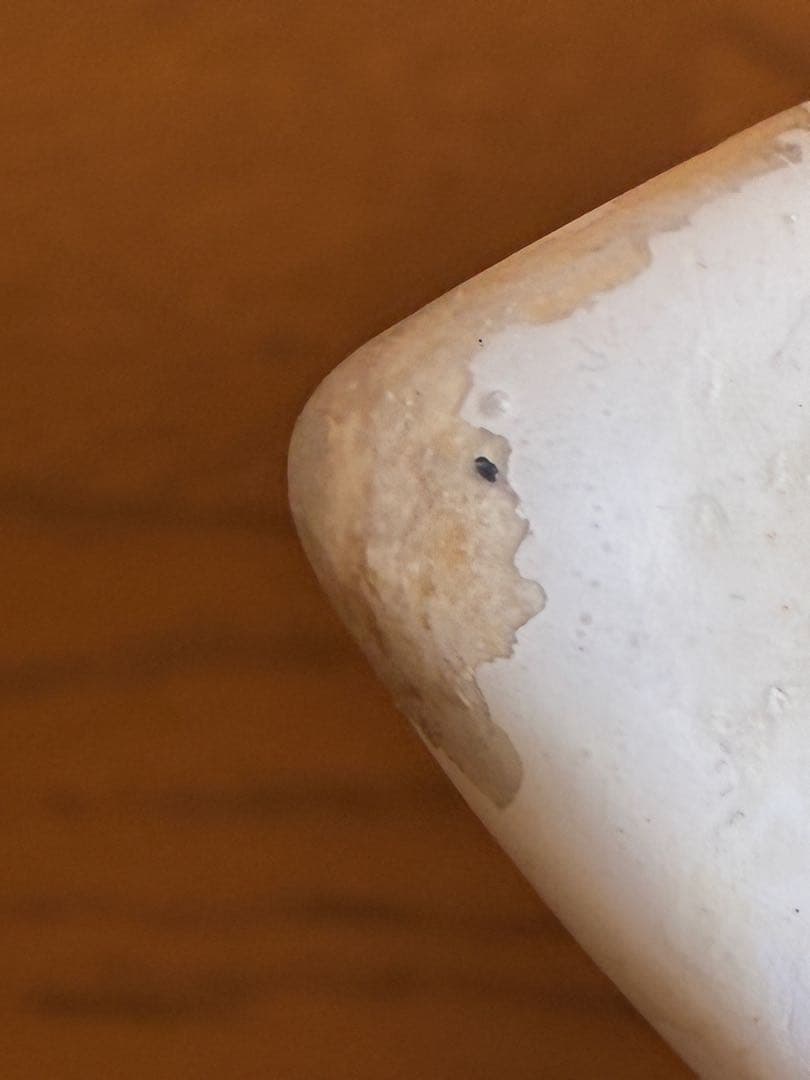 値下げ【中古】ショートボード