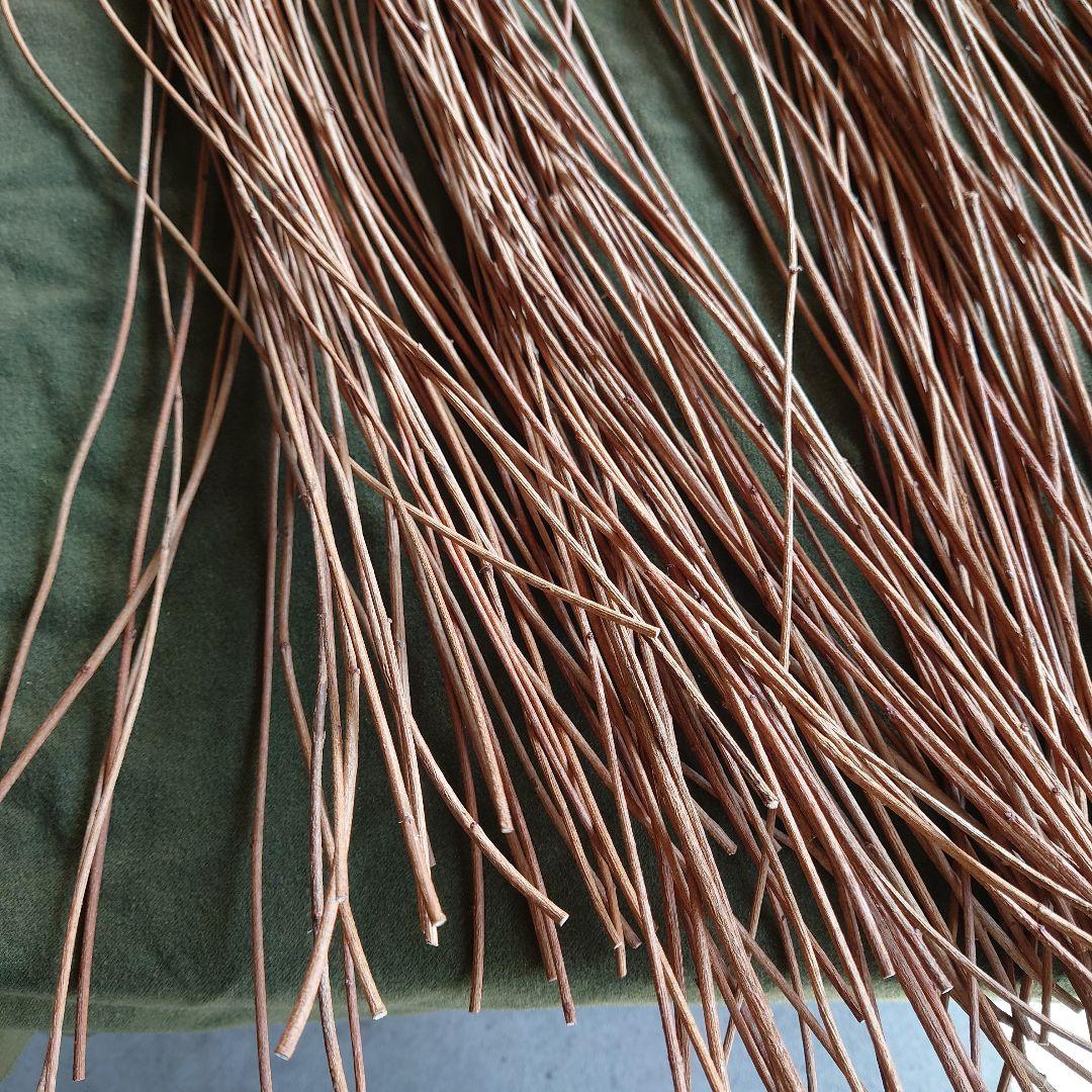 アケビの蔓(根蔓ランナー)