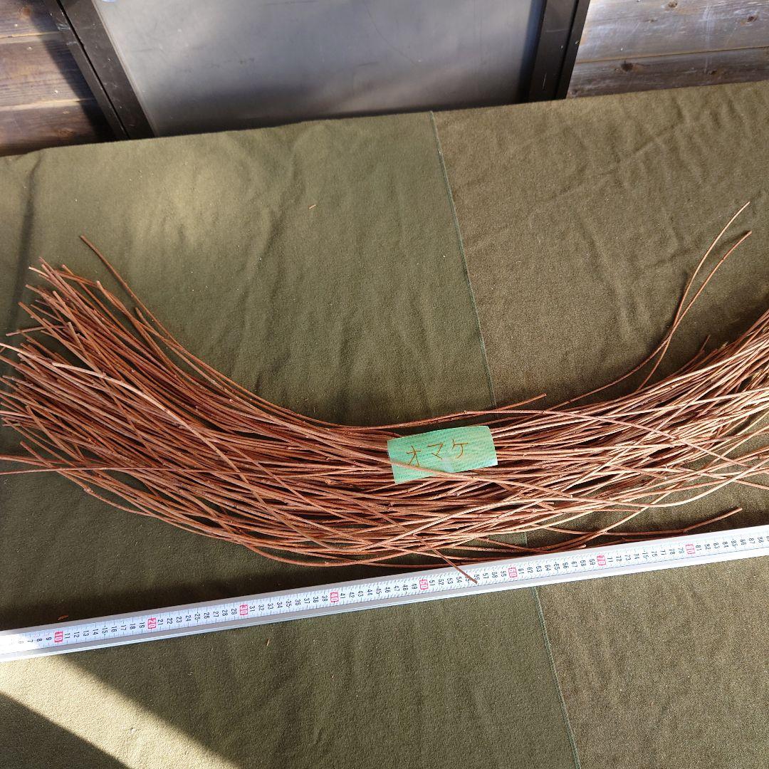 アケビの蔓(根蔓ランナー)