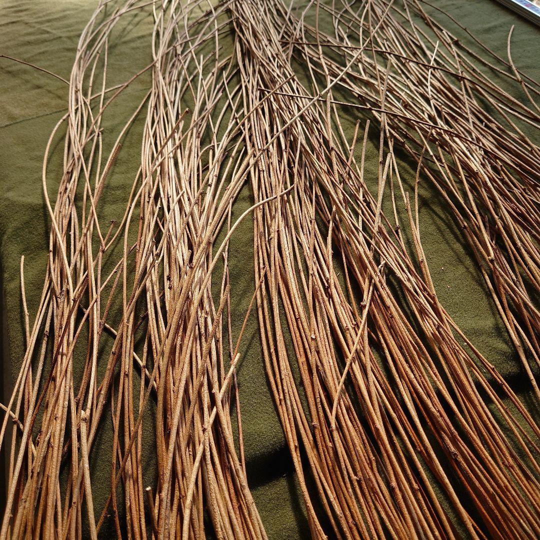 アケビの蔓(根蔓ランナー)