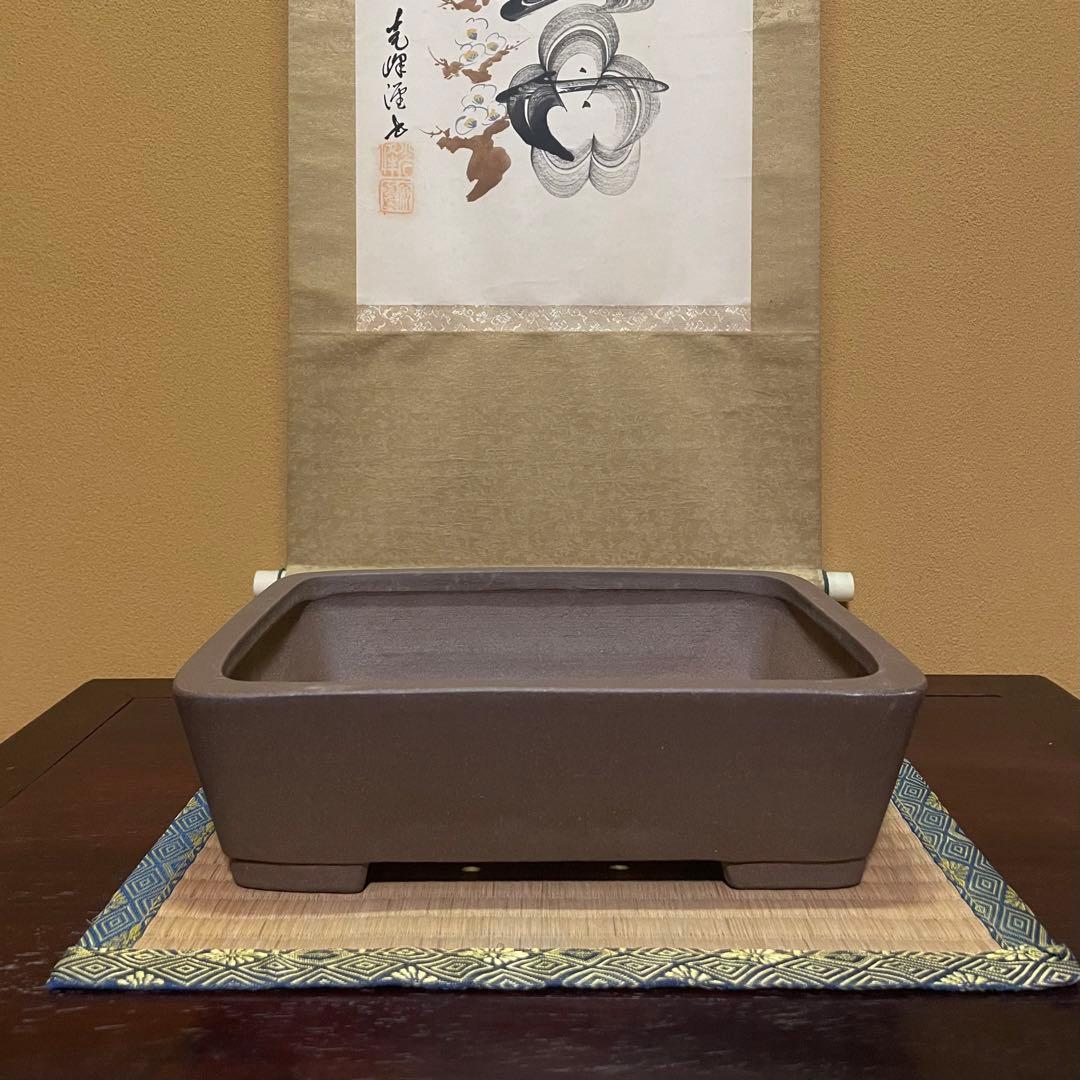 【落款あり】中村祐士 常滑 中野裕士 紫泥長方鉢