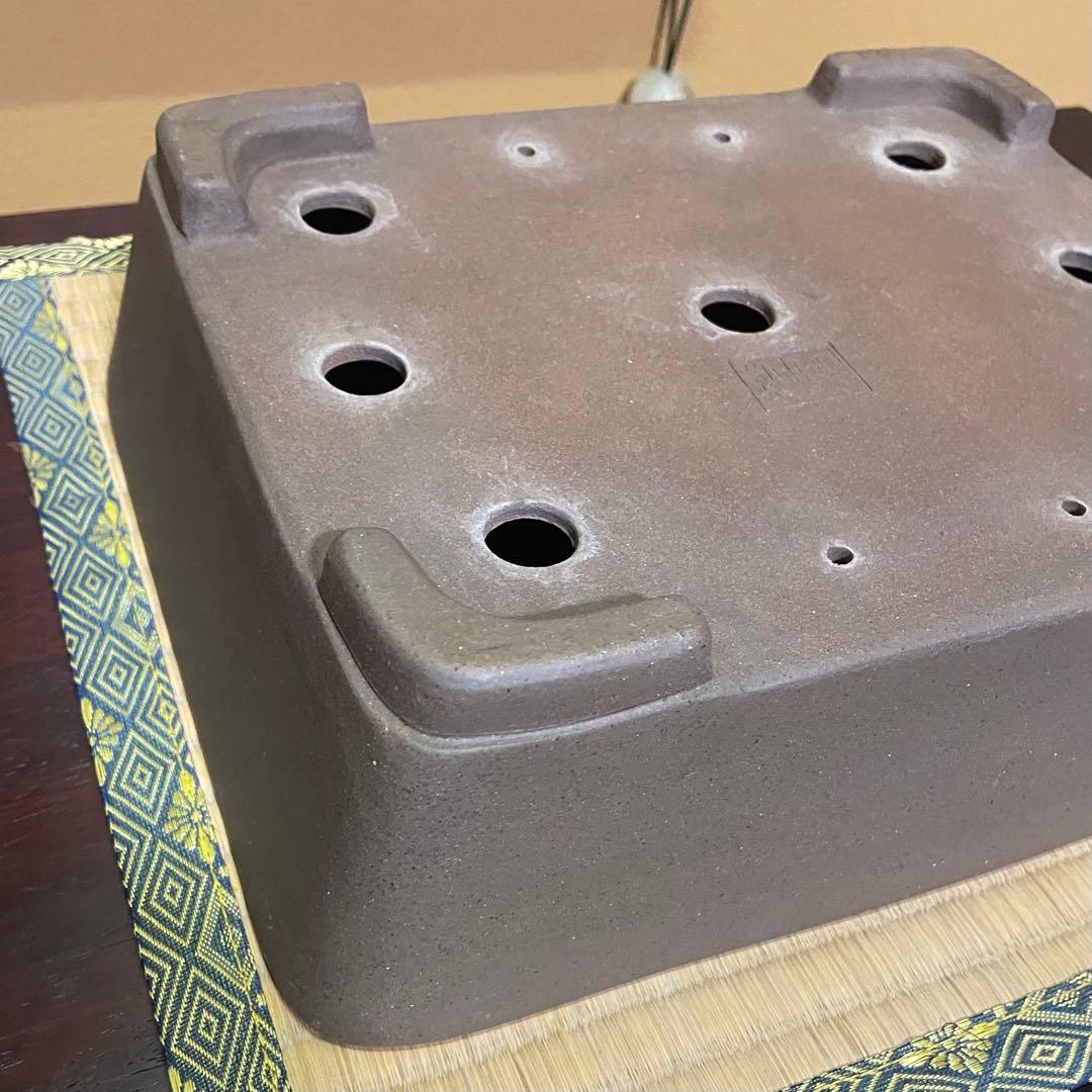 【落款あり】中村祐士 常滑 中野裕士 紫泥長方鉢