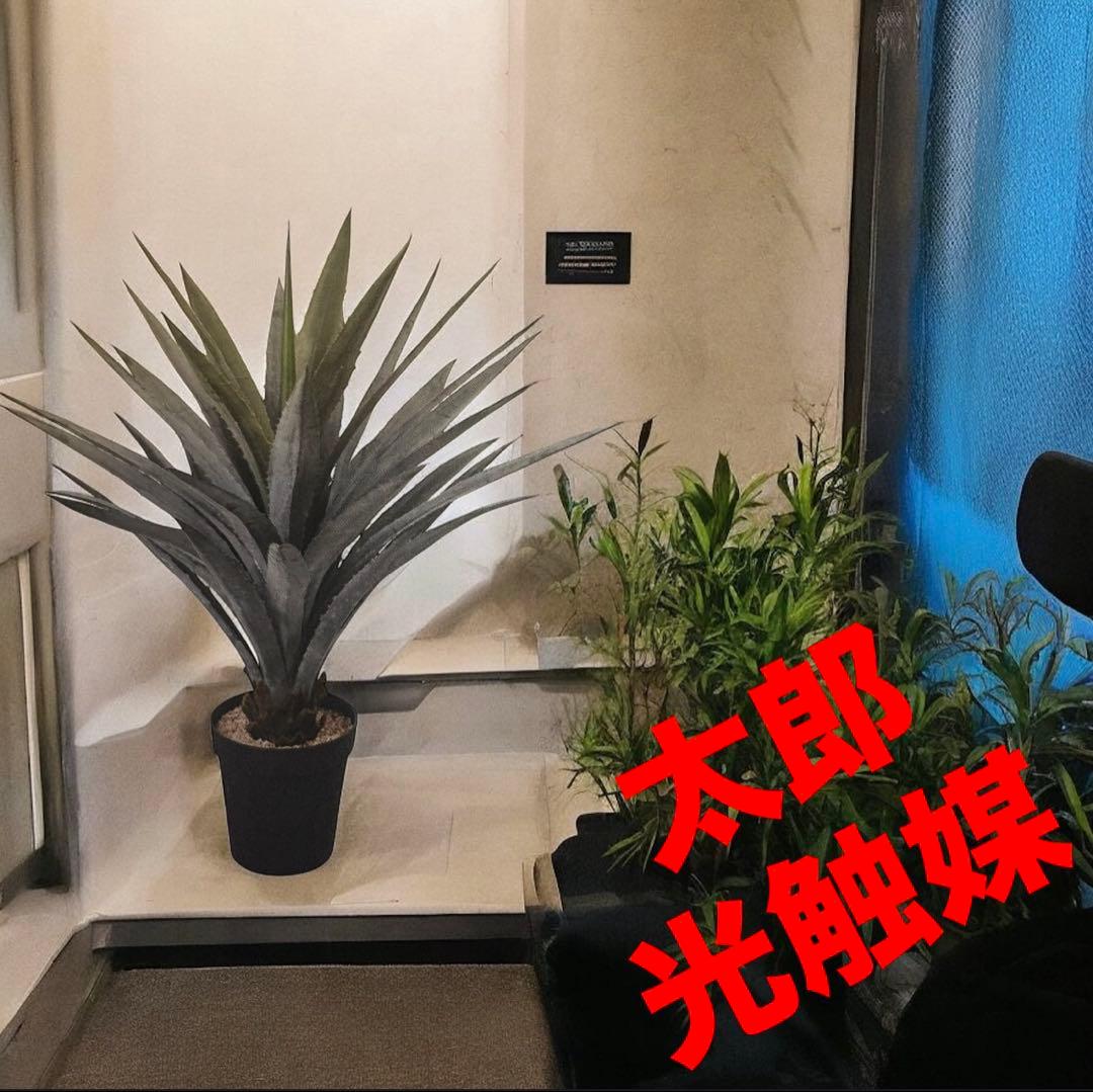 光触媒　人工観葉植物　ウォールグリーン　フェイクグリーン　アガベ115