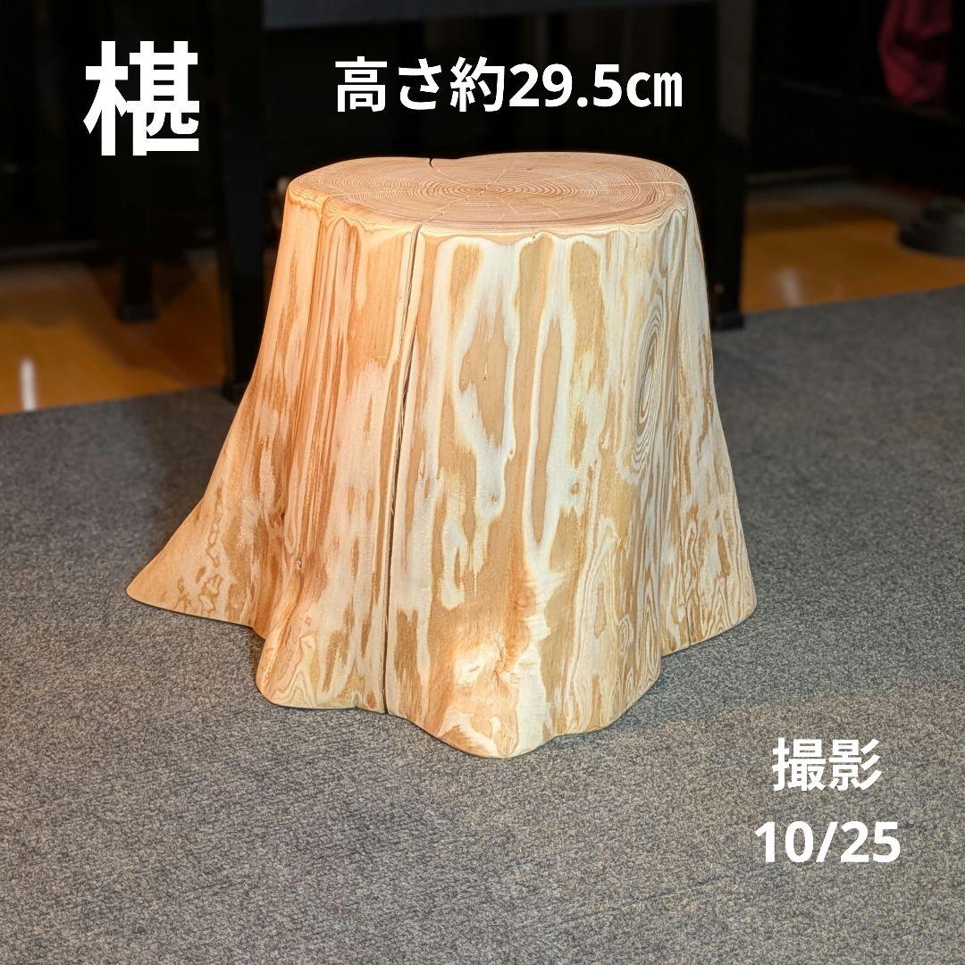 天然椹　サワラ　切り株　高さ約29.5㎝