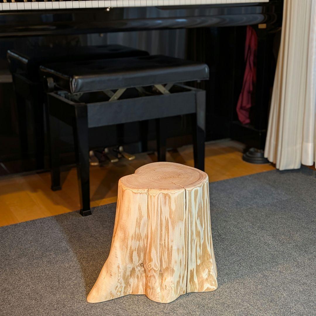 天然椹　サワラ　切り株　高さ約29.5㎝