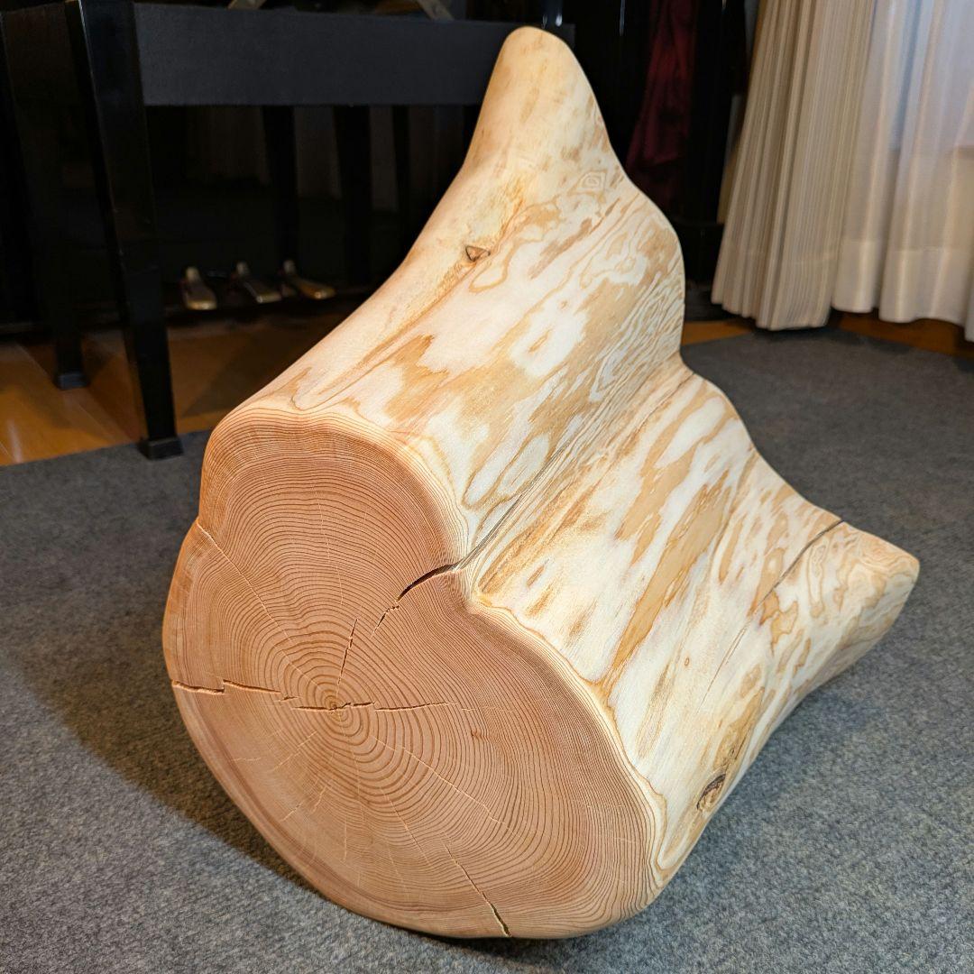 天然椹　サワラ　切り株　高さ約29.5㎝