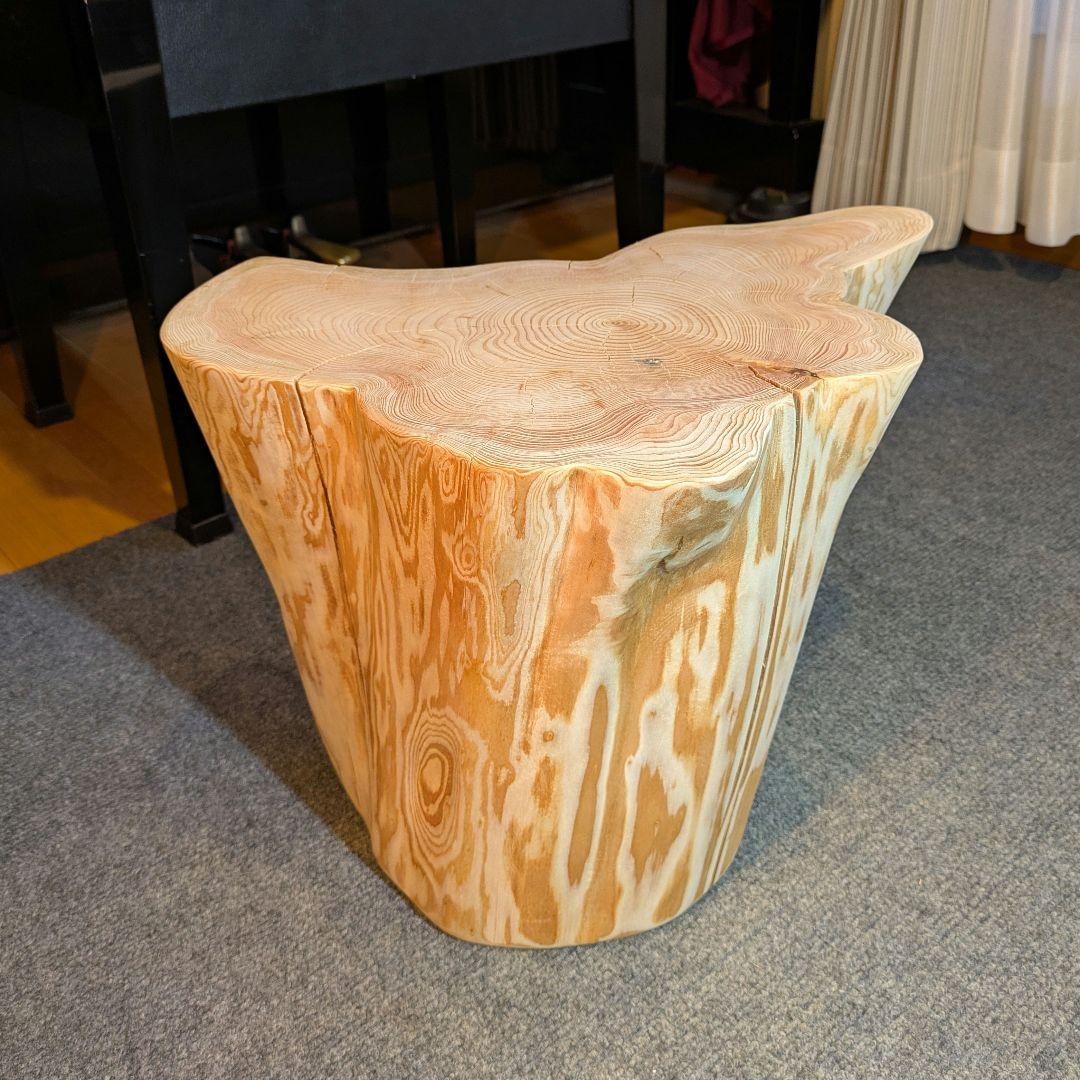 天然椹　サワラ　切り株　高さ約29.5㎝