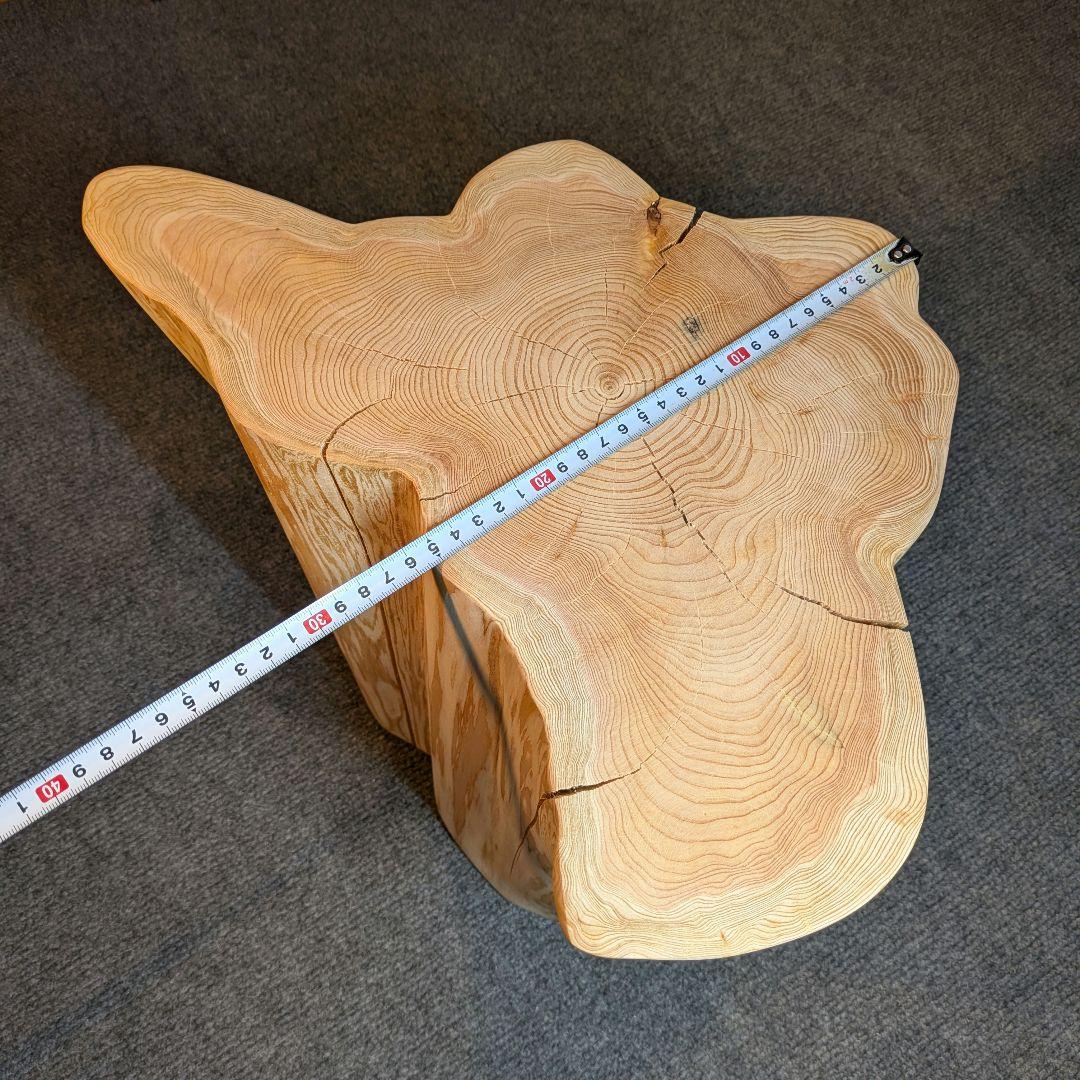 天然椹　サワラ　切り株　高さ約29.5㎝