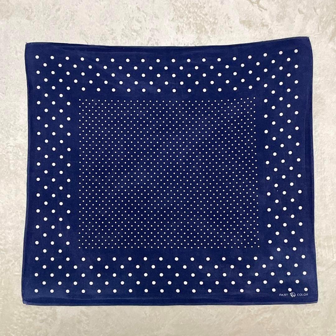 希少30s40s ポルガドット 下鼻 ゾウ 片耳 FAST COLOR