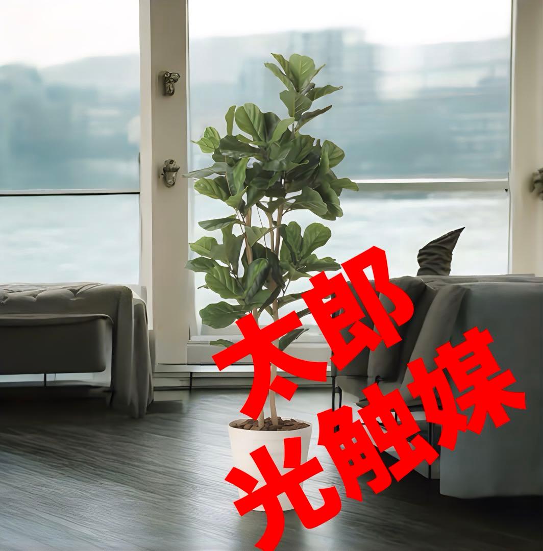 光触媒　人工観葉植物　ウォールグリーン　フェイクグリーン　カシワバゴム1.8@g