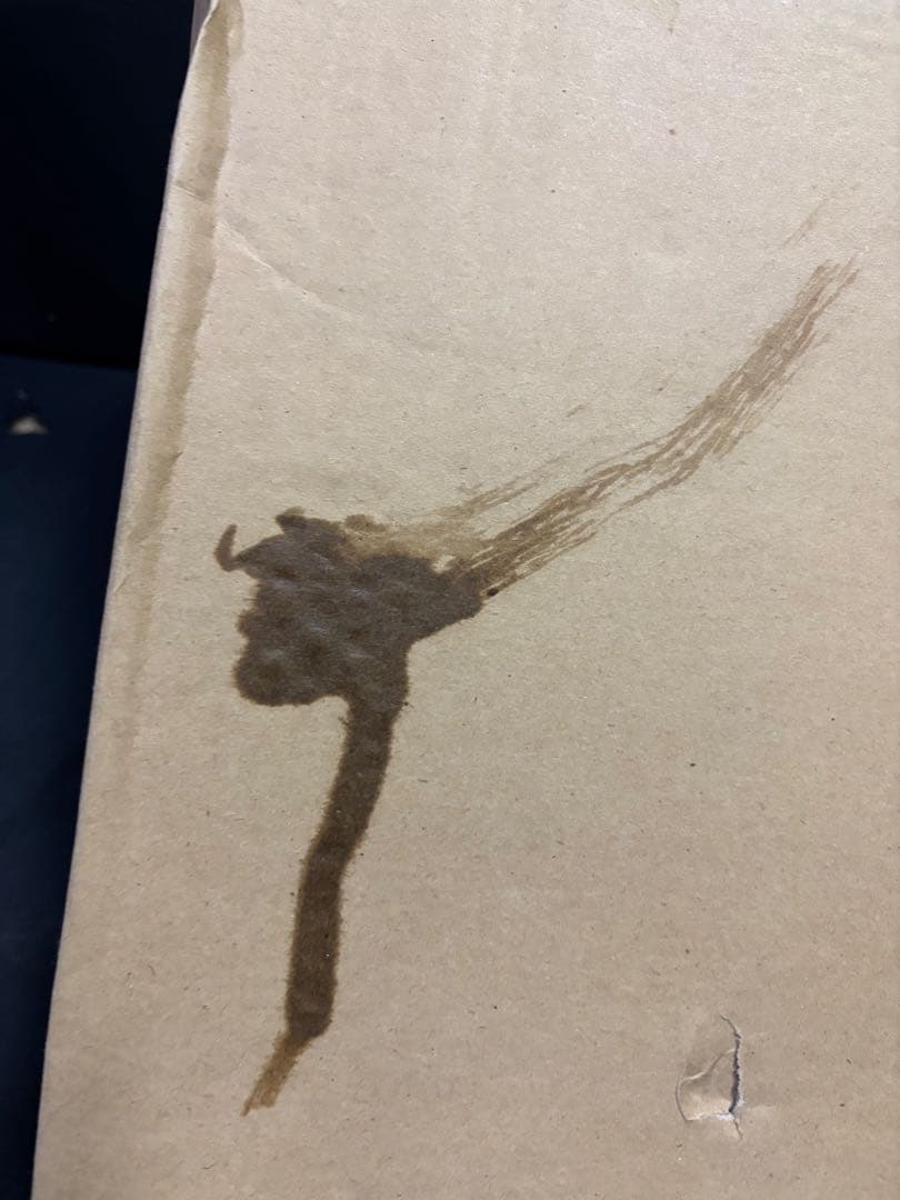 紙芝居舞台 画劇B 天然木製 額 フレーム 装置 読み聞かせ 保育園 幼稚園