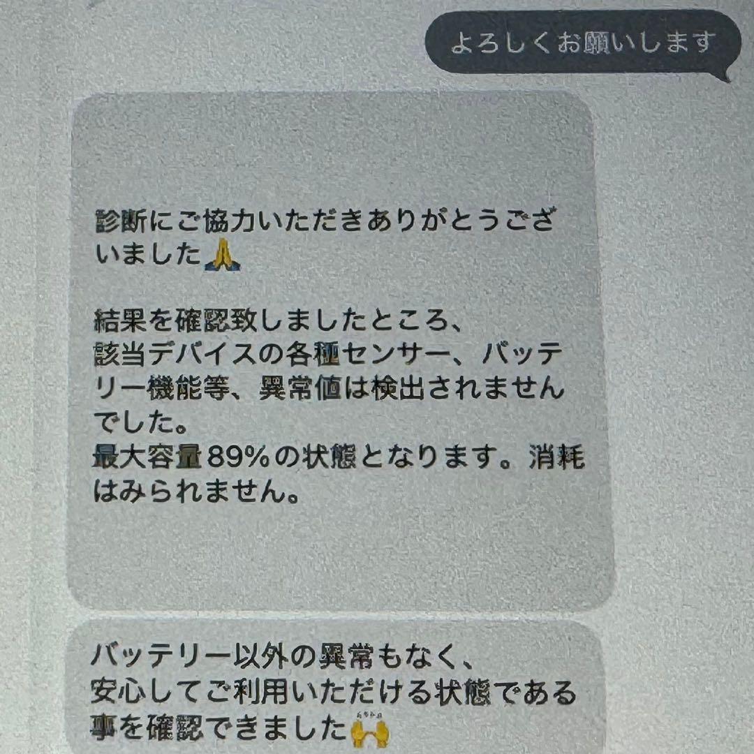 ★美品★iPad mini5 WiFi+Cellular 256GB BT89％