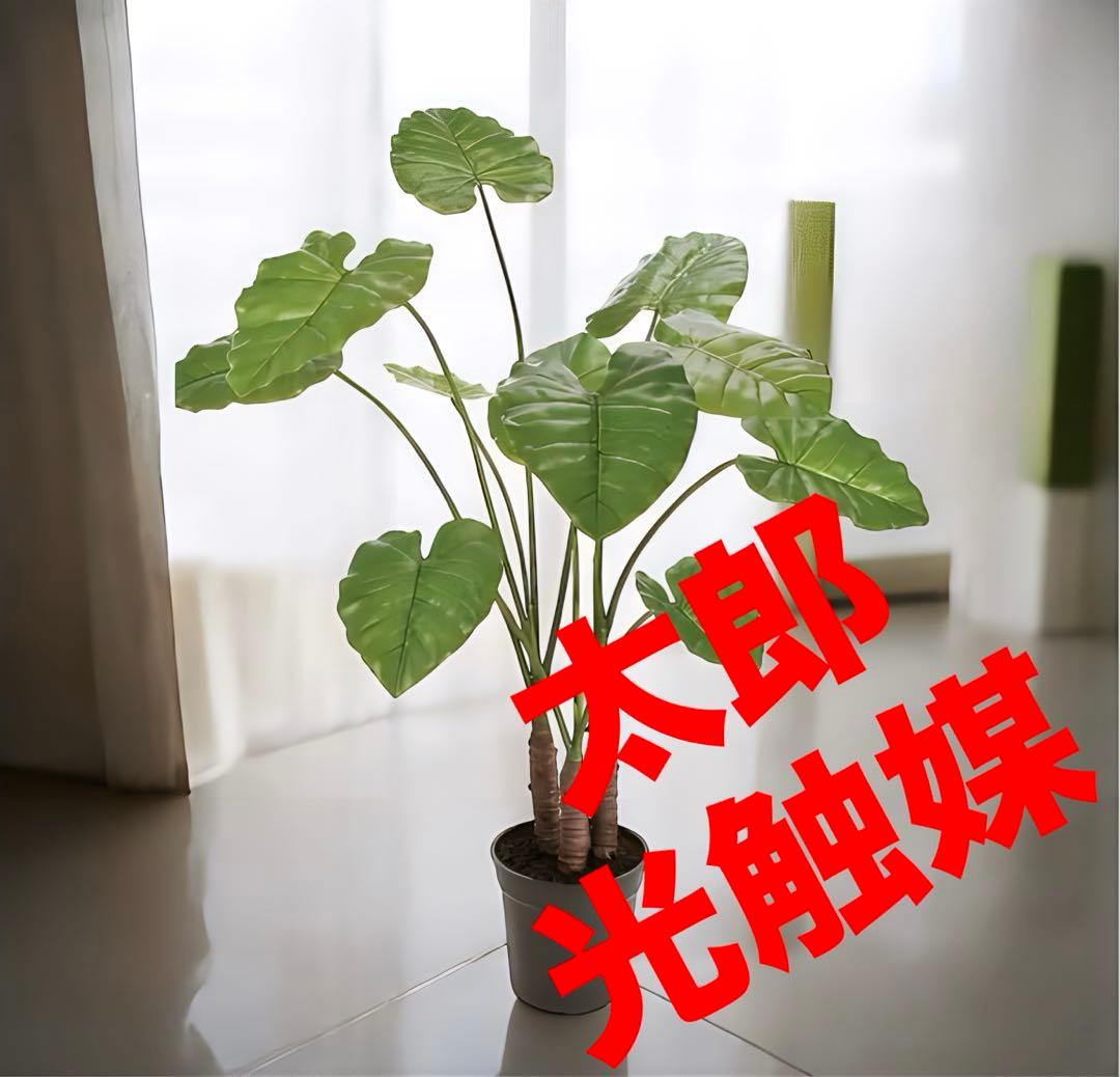 光触媒　人工観葉植物　フェイクグリーン　フラワー　クワズイモ100
