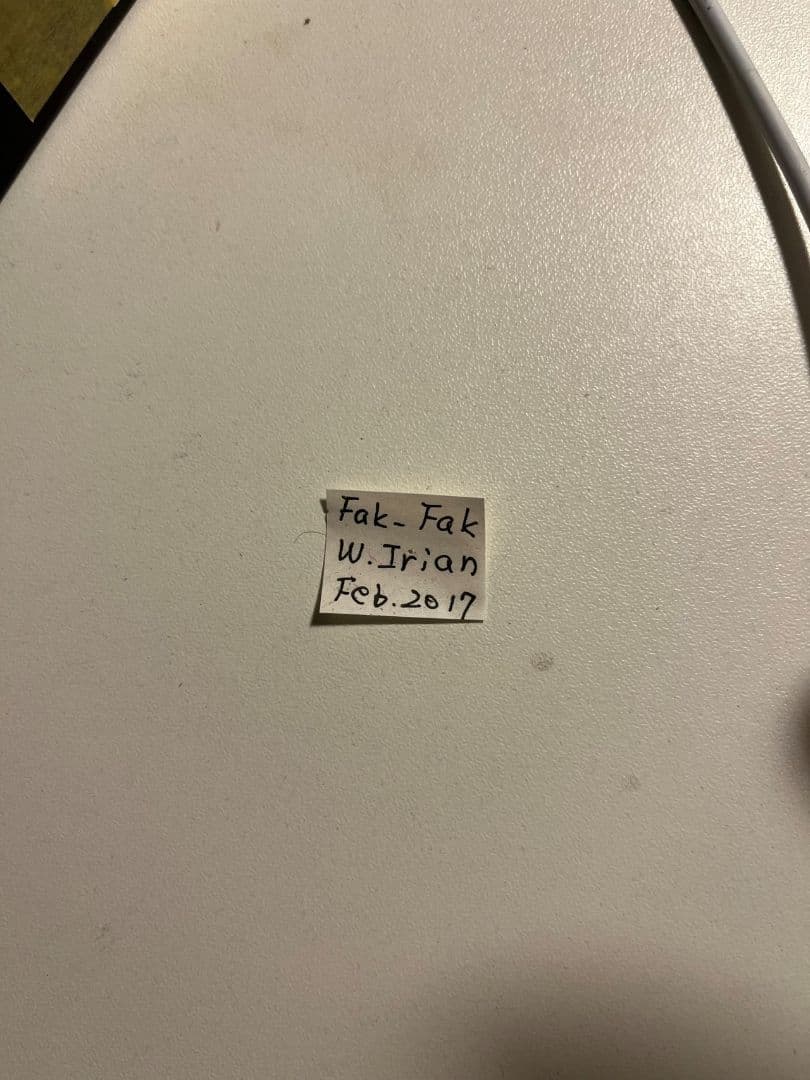 ミドリメガネトリバネアゲハ 展翅標本 外国産蝶標本 標本 蝶 採集品 アカエリ