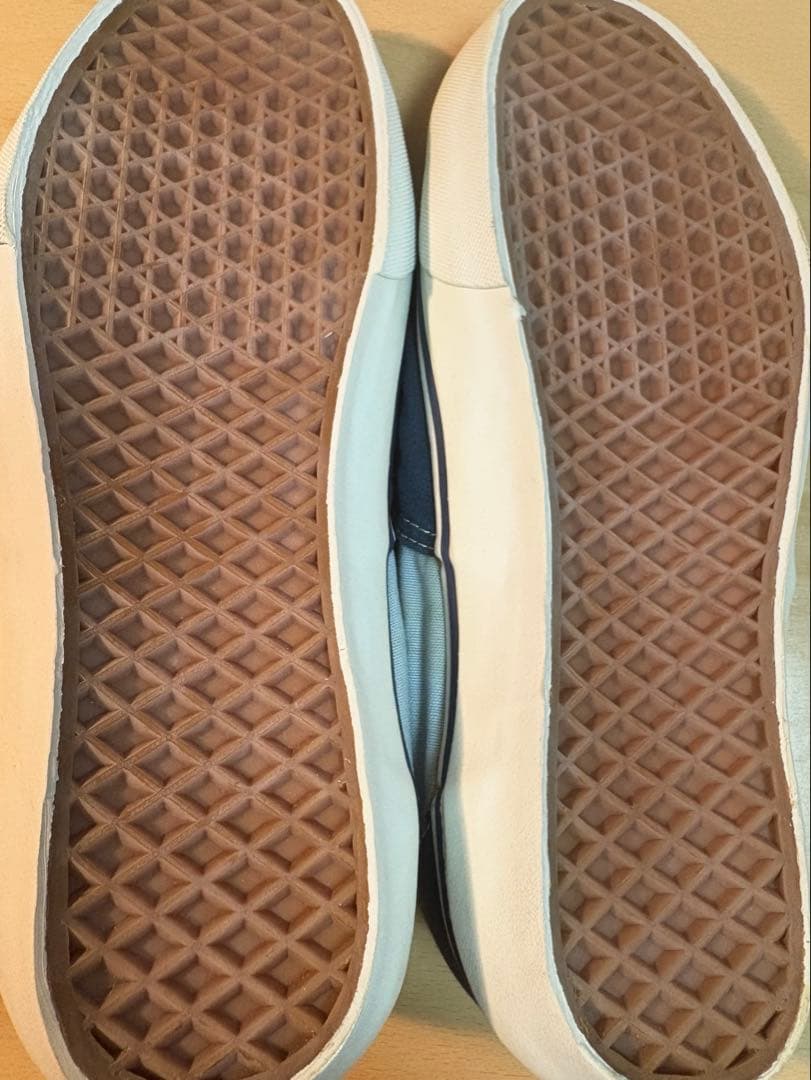 スケートボード VANS DOGTOWN