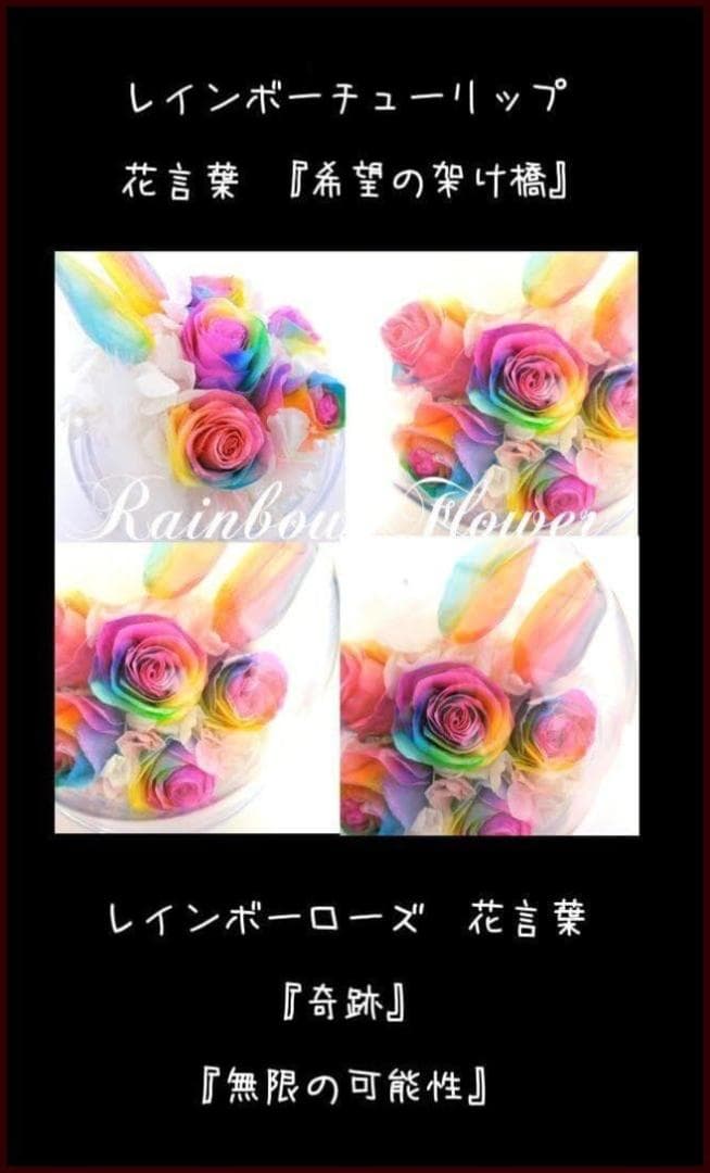 【楽天ランキング1位】プリザーブドフラワー レインボーチューリップドーム
