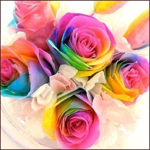 【楽天ランキング1位】プリザーブドフラワー レインボーチューリップドーム