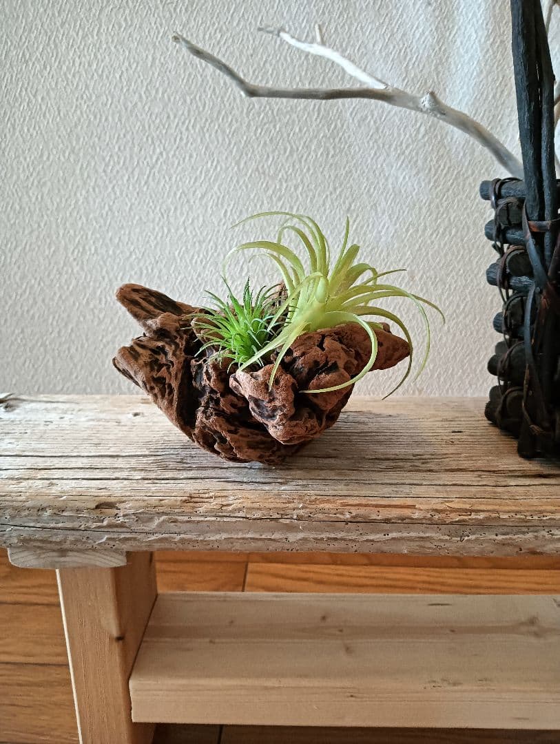 流木534 　流木のディスプレイ用サイドテーブル　多肉植物　　陶芸作品　観葉植物
