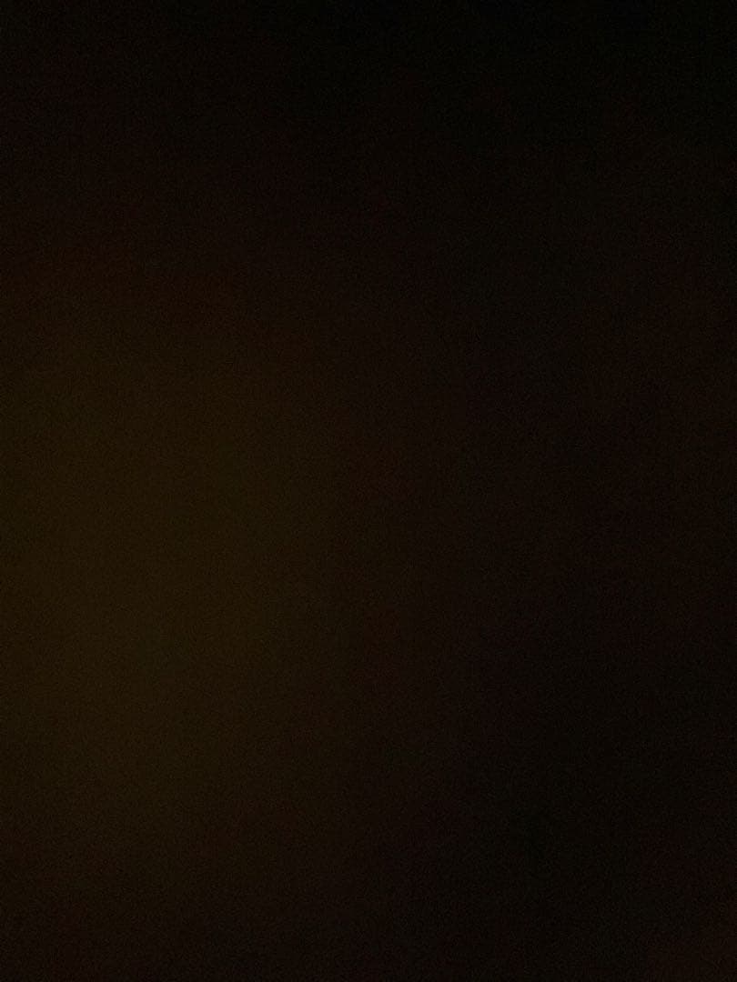 ⭐︎お値引き交渉大歓迎とりコック⭐︎様