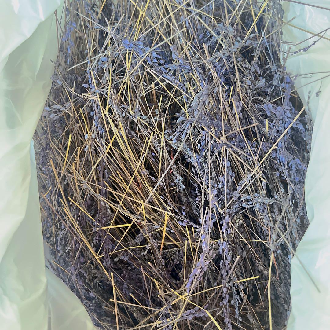 大量!! 総額8万円相当 アンティークフラワー ドライフラワーオブジェセット