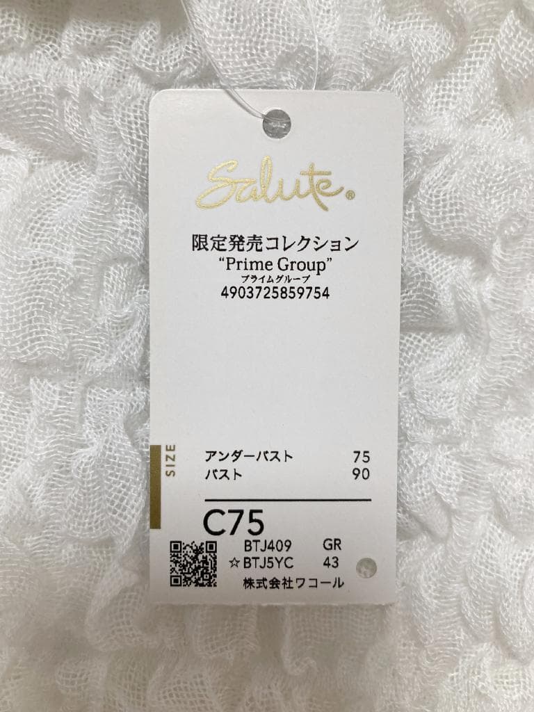 新品　ワコールサルート　BTJ509　09グループ　店舗限定　ブラジャー　C75