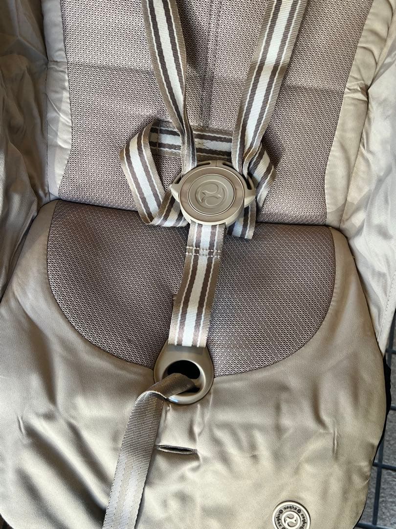 サイベックス　リベル　2024年