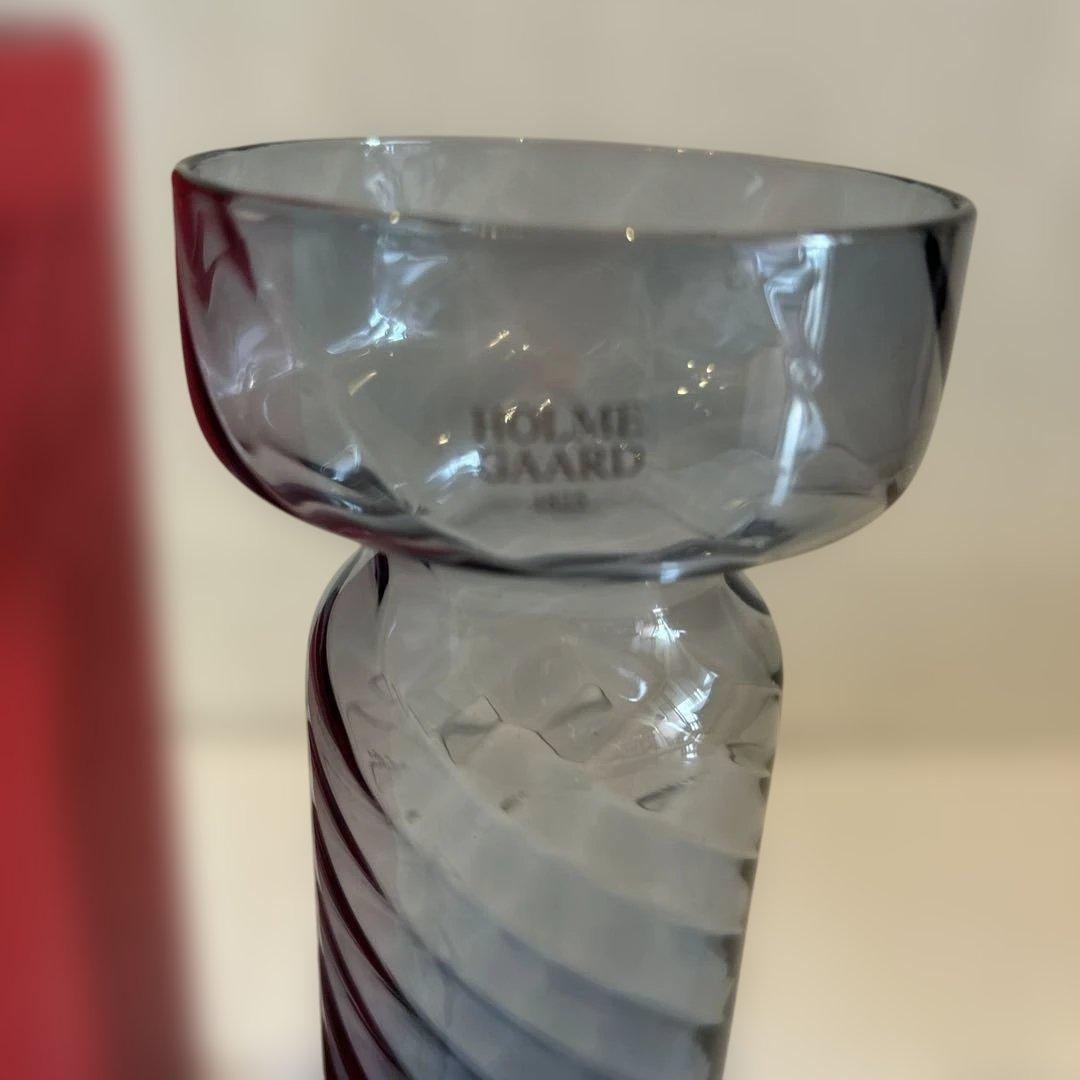 HOLME GAARD ホルムガード 日本未発売水耕球根栽培用 ブルーヒヤシンス