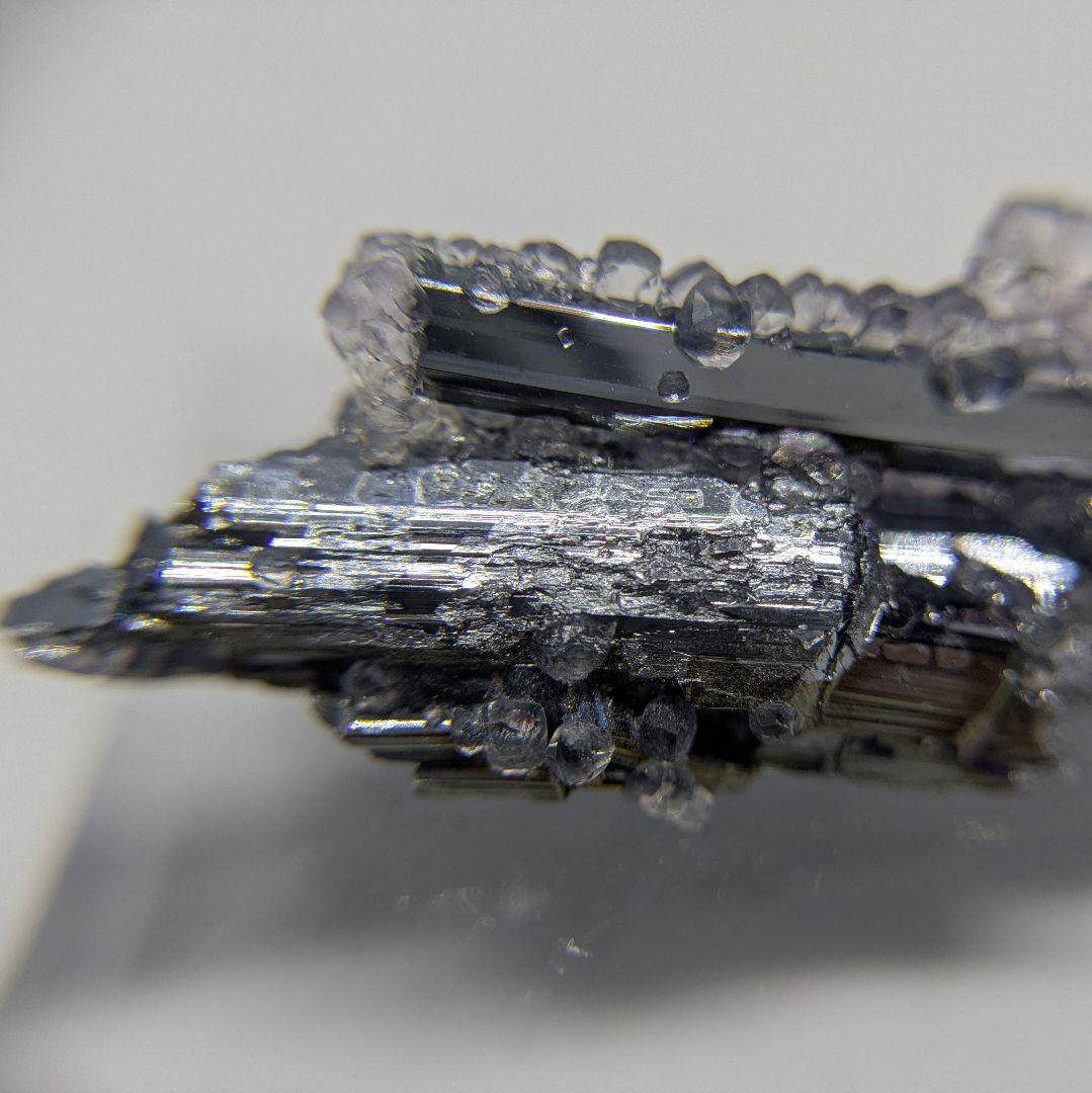 スティブナイト　フローライト　共生