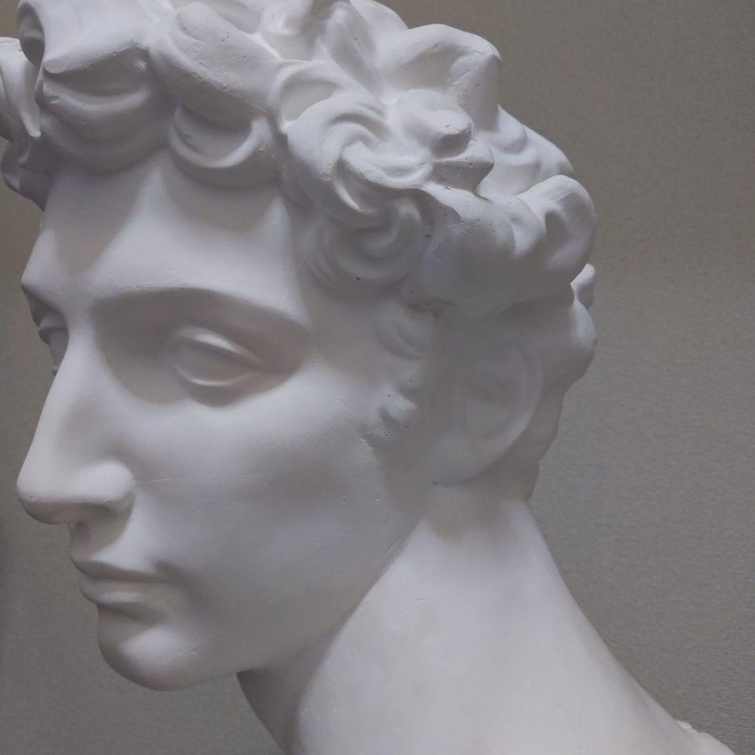 メディチ 石膏像