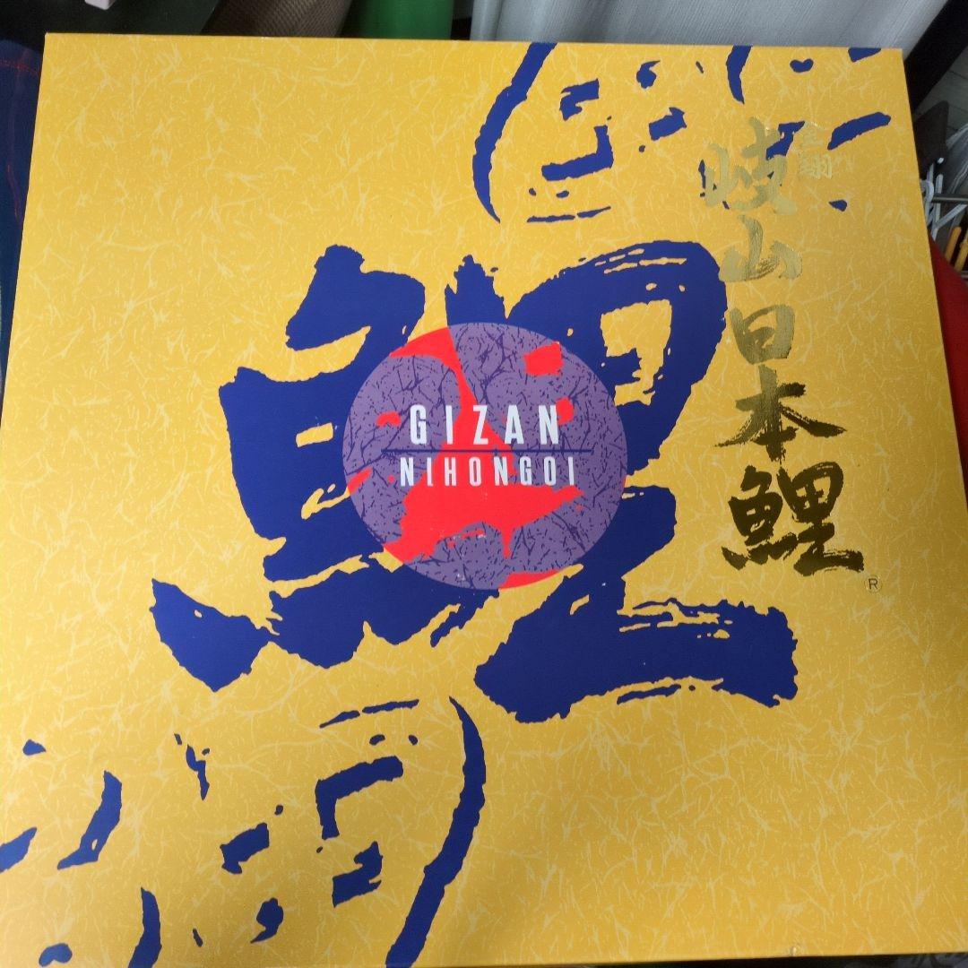 金翔　岐山日本鯉　珍しい10m　青鯉幟　金入り