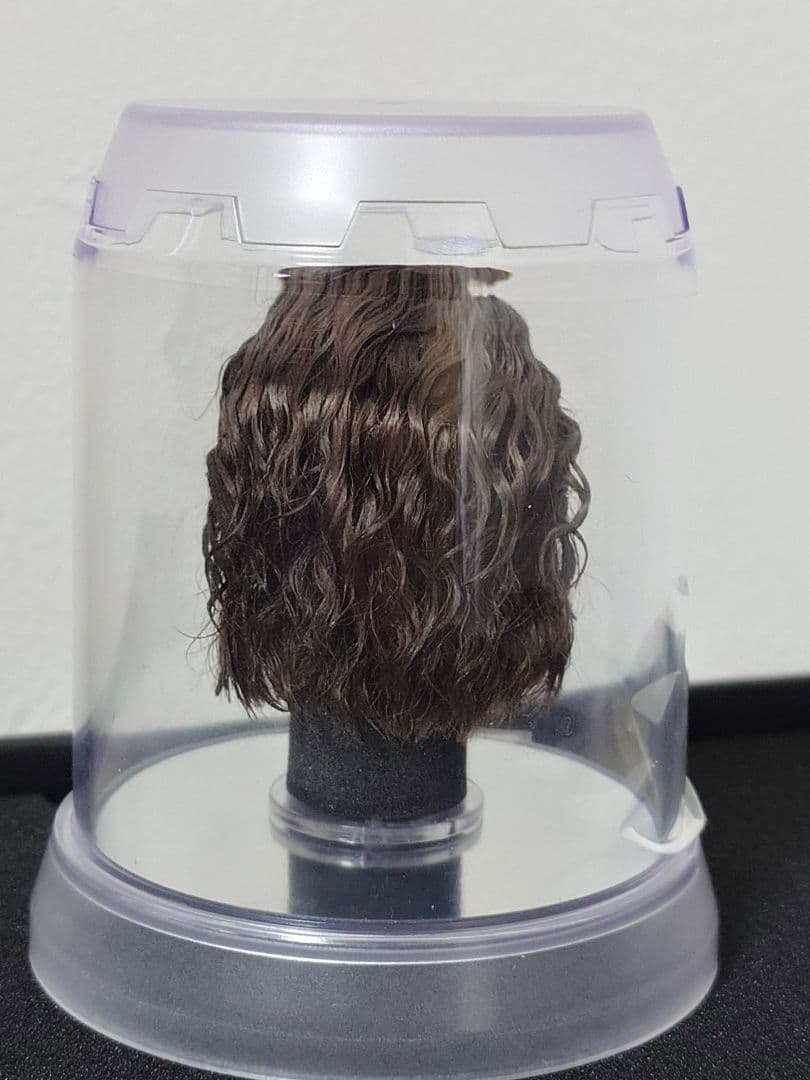 R*様 ホットトイズ 1/6アナキン【SWイベント限定】植毛版