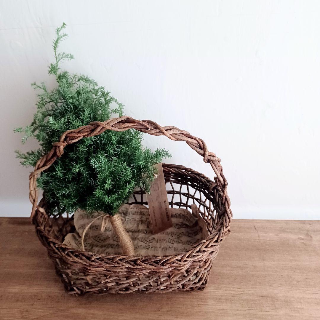 新品 未使用 ドライフラワー スワッグ ヒムロスギ 【order】