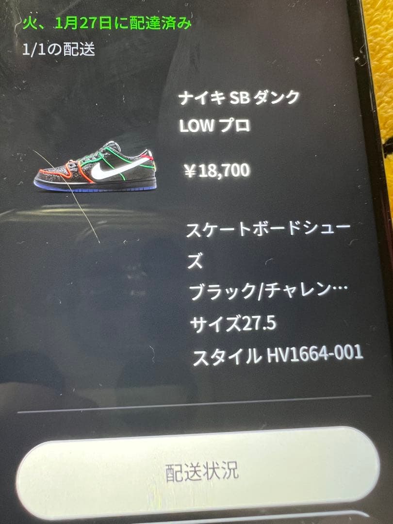 BronxGirlsSkate × Nike SB Dunk Low QS
