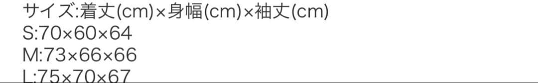 未使用　カーハート　ダウンジャケット