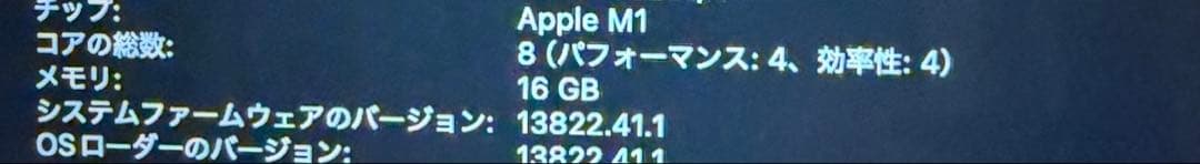 MacBook本体 Apple MacBook Air M1 16g 256GB