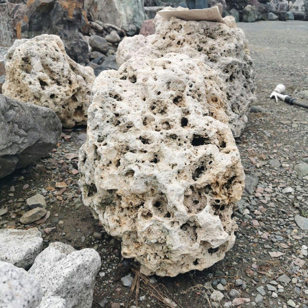 サンゴ石　104キロ　庭石　石　鑑賞石 石材　庭　ガーデニング　置物