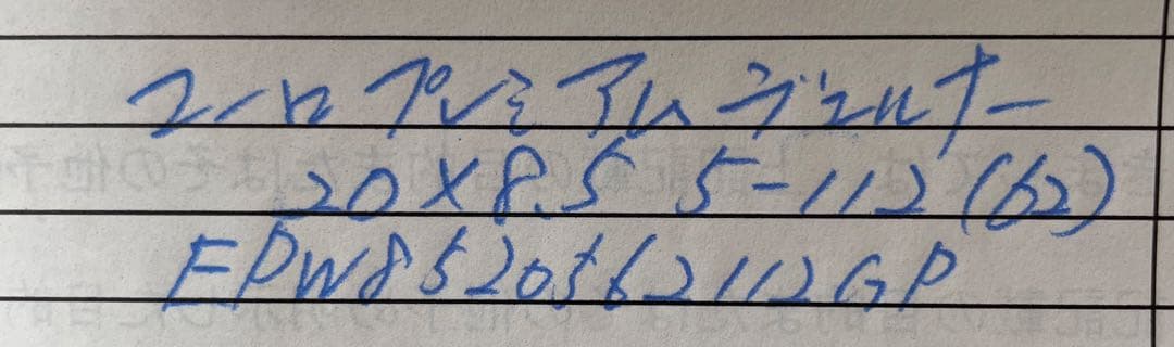 20インチ▪️ユーロプレミアムヴェルナー20×8.5▪️ブリザック275/50R20