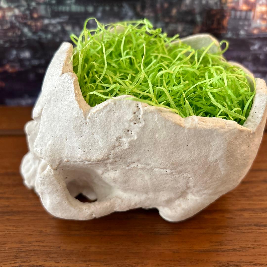 スカル型 プランター ／ 植木鉢