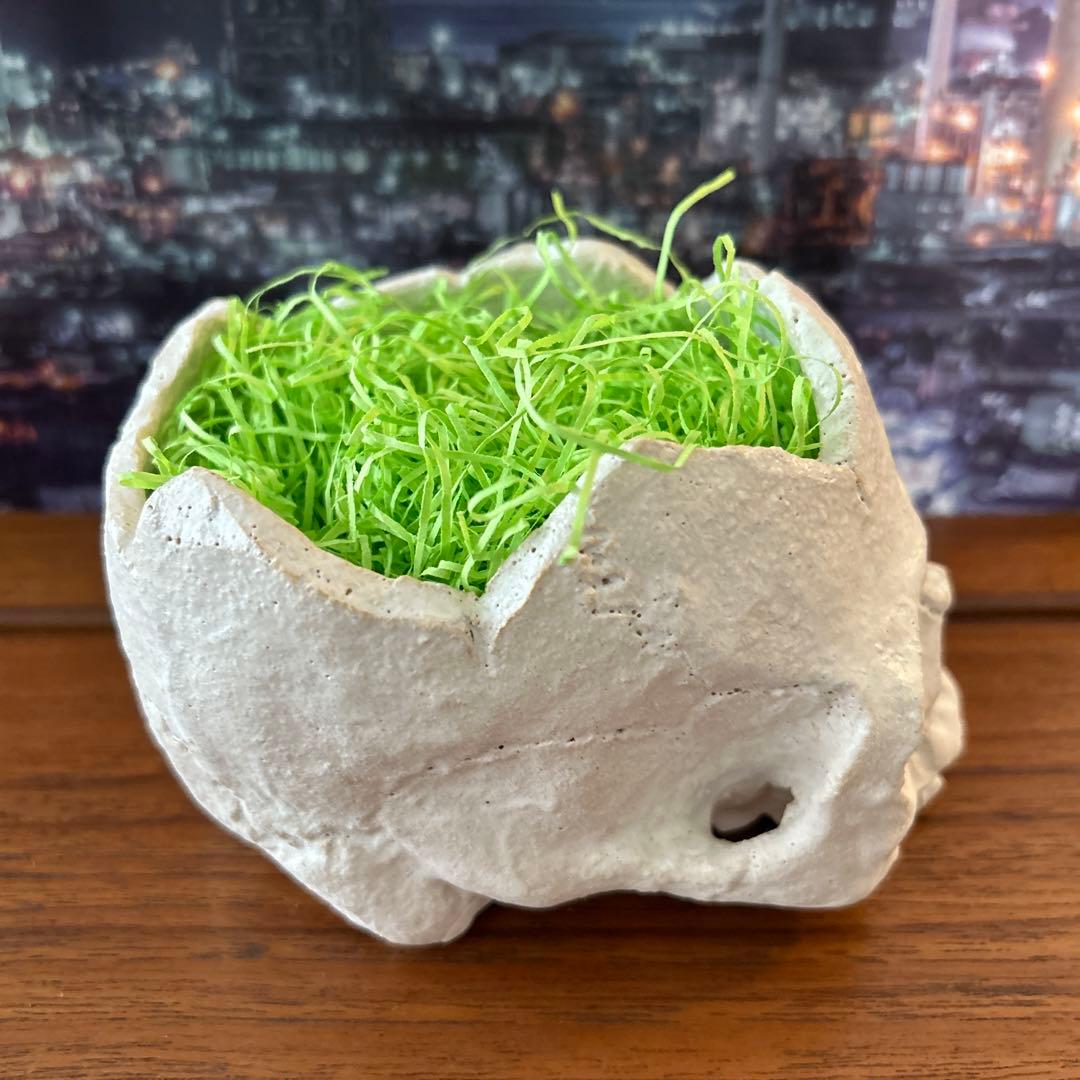 スカル型 プランター ／ 植木鉢