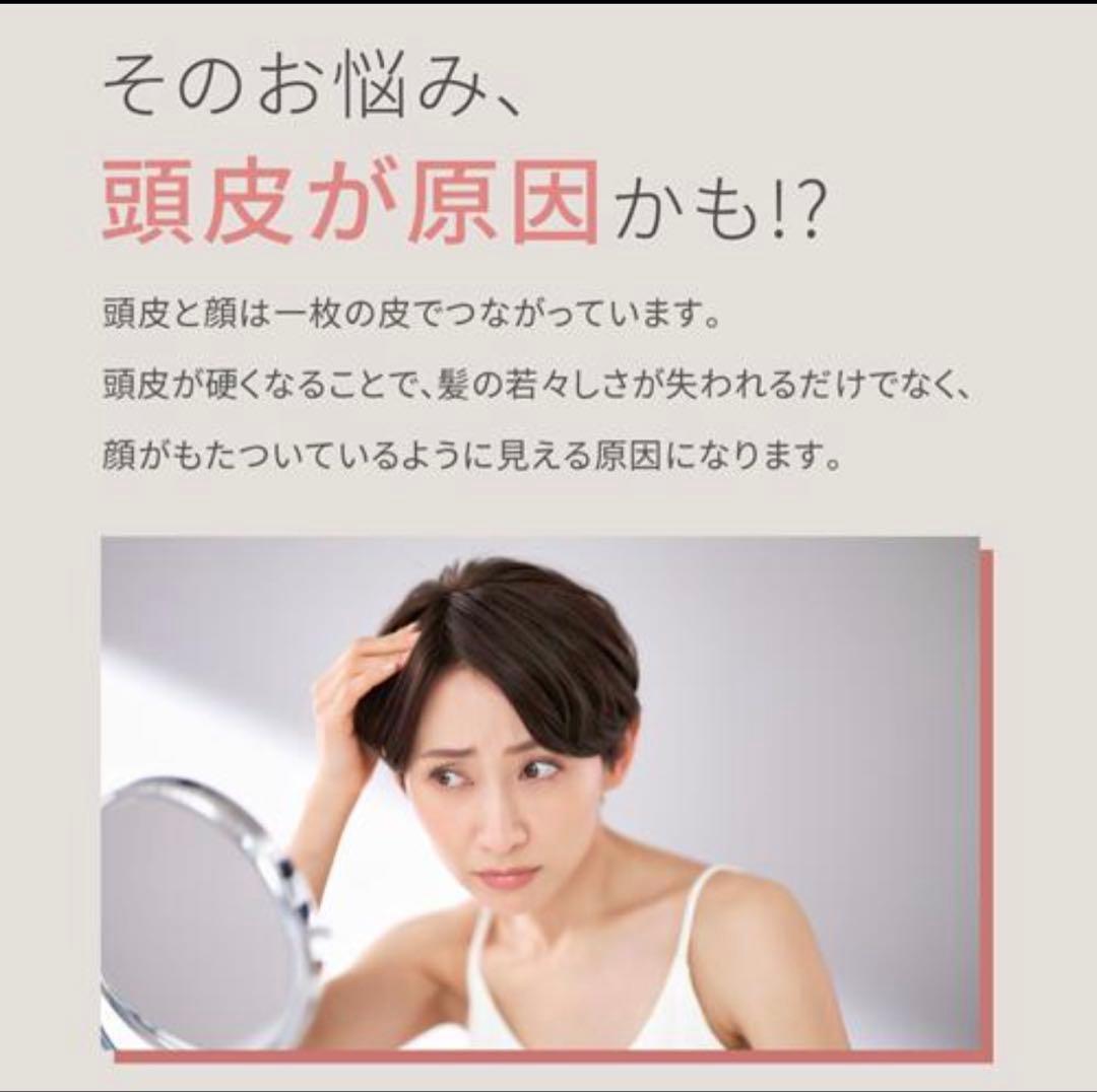 ミーゼ ニードルヘッドスパリフト