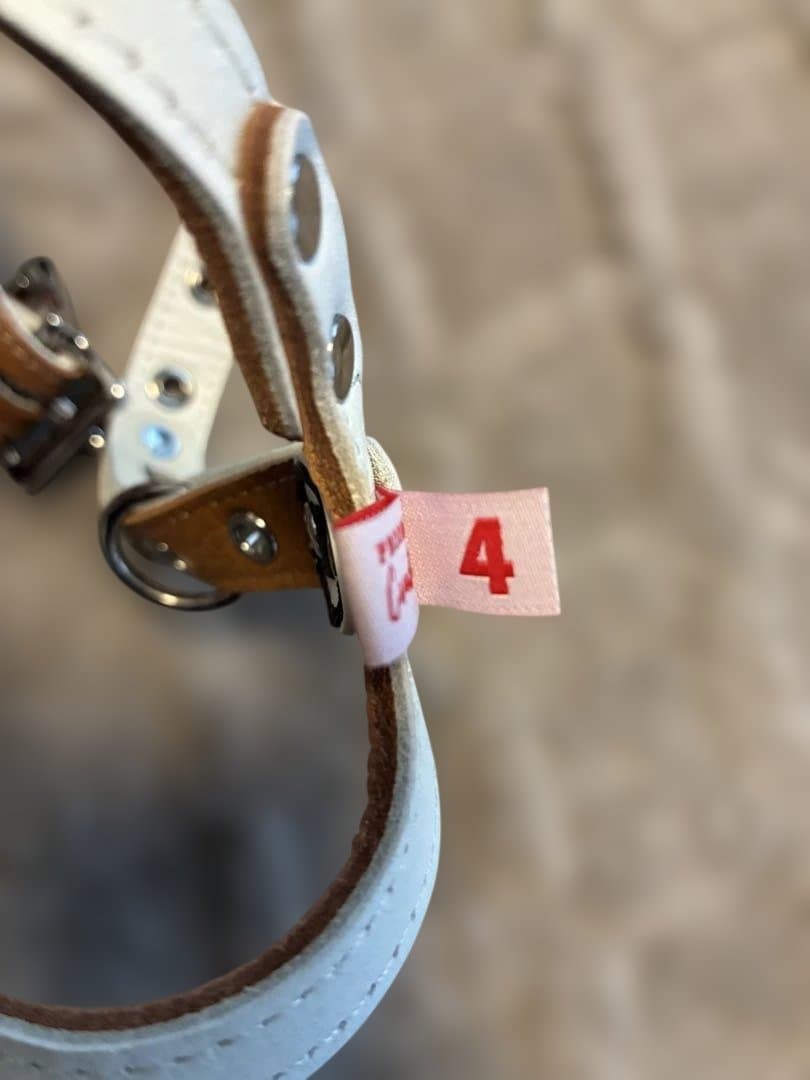 【正規品】Buddy Belts バディベルト 4号 キャラメル 犬用ハーネス