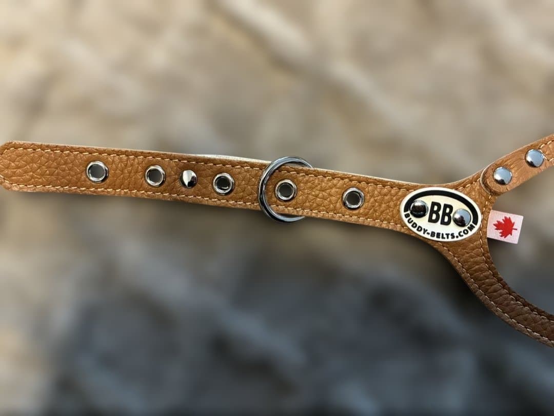 【正規品】Buddy Belts バディベルト 4号 キャラメル 犬用ハーネス