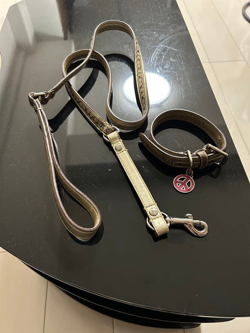 COACHの首輪とリードセット ★犬用ダウン付き