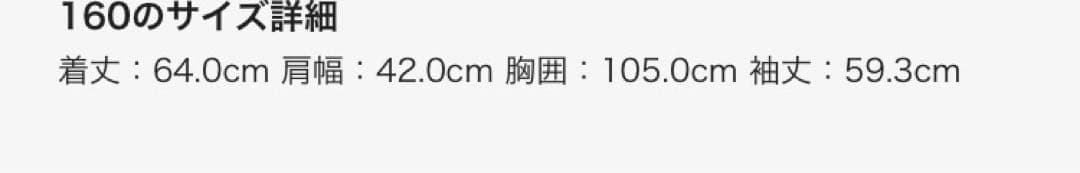 THE NORTH FACE ダウンベスト 160