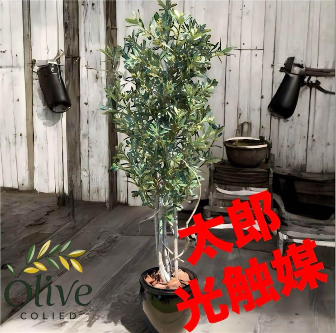 光触媒　人工観葉植物　ウォールグリーン　フェイクグリーン　オリーブtja